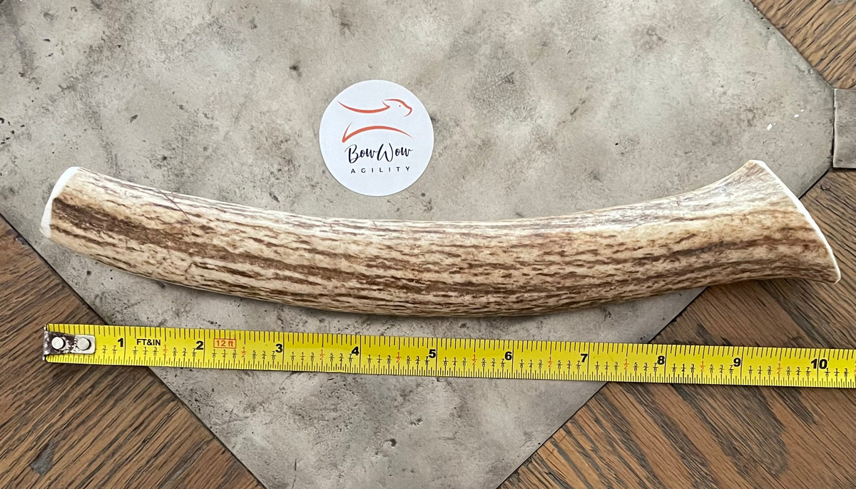 Premium 100% Natural Elk Antler Chew - Large