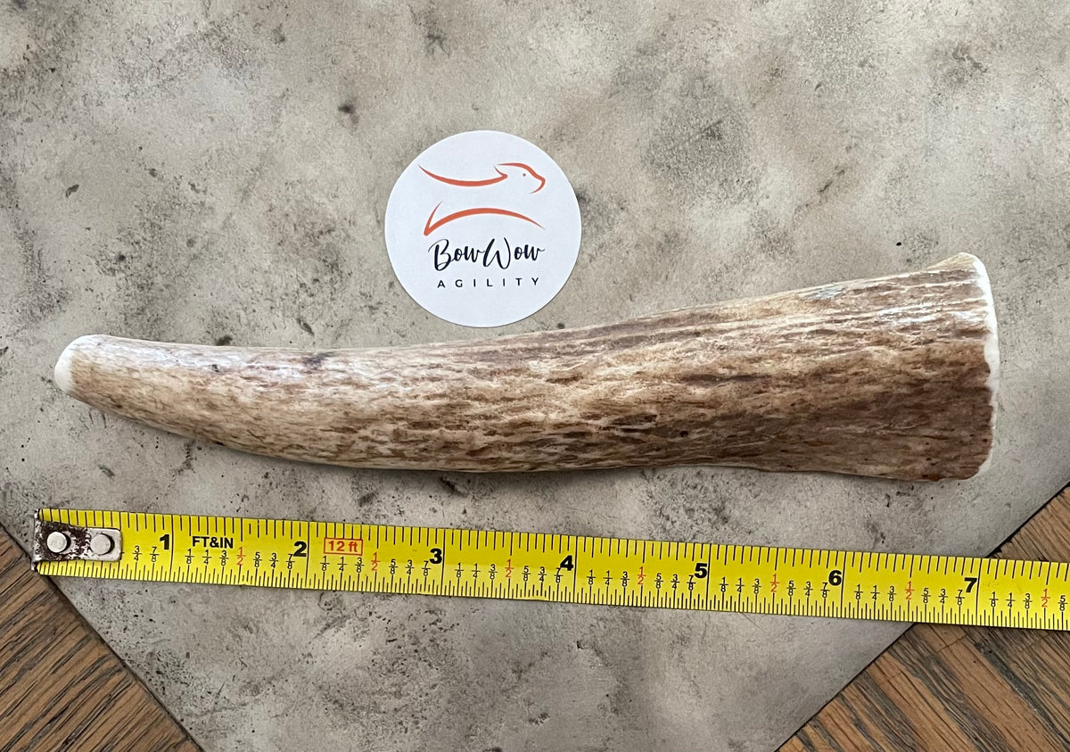 Premium 100% Natural Elk Antler Chew - Medium