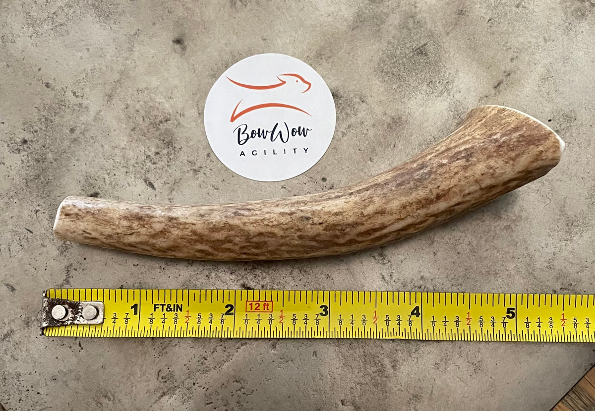 Premium 100% Natural Elk Antler Chew - Small