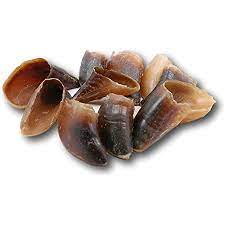 JONES Natural Beef Hooves 10 Pack - BowWowAgility